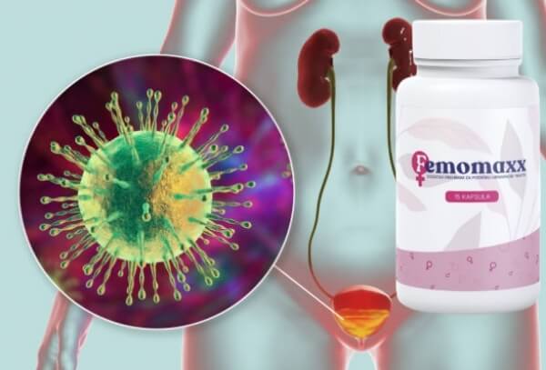 Kako uzimati Femomaxx – uputstvo za upotrebu, doziranje i letak Kako uzimati Femomaxx – uputstvo za upotrebu, doziranje i letak